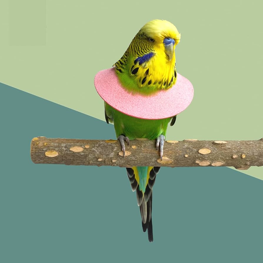 未使用品◎ヴェルサーチ スカーフ 大判ハンカチ インコ オウム 鳥 未使用品◎ヴェルサーチ スカーフ 大判ハンカチ インコ オウム